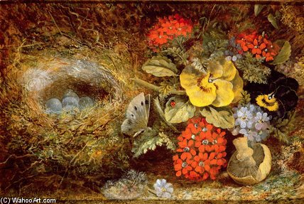 Flowers And Bird's Nest With Butterfly And Mushroom — Oliver Clare