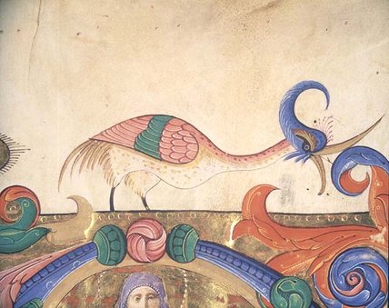 Fantastical Bird, Detail Of The Decoration — Matteo Di Filippo Torelli