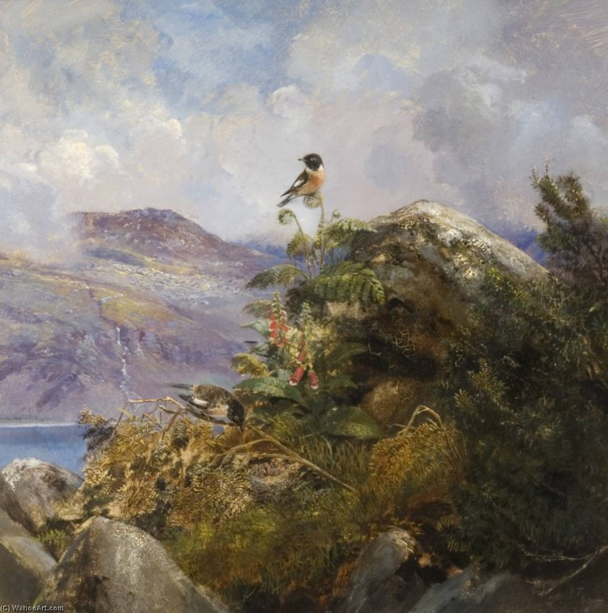 Stonechat On A Cairn — Samuel Lucas