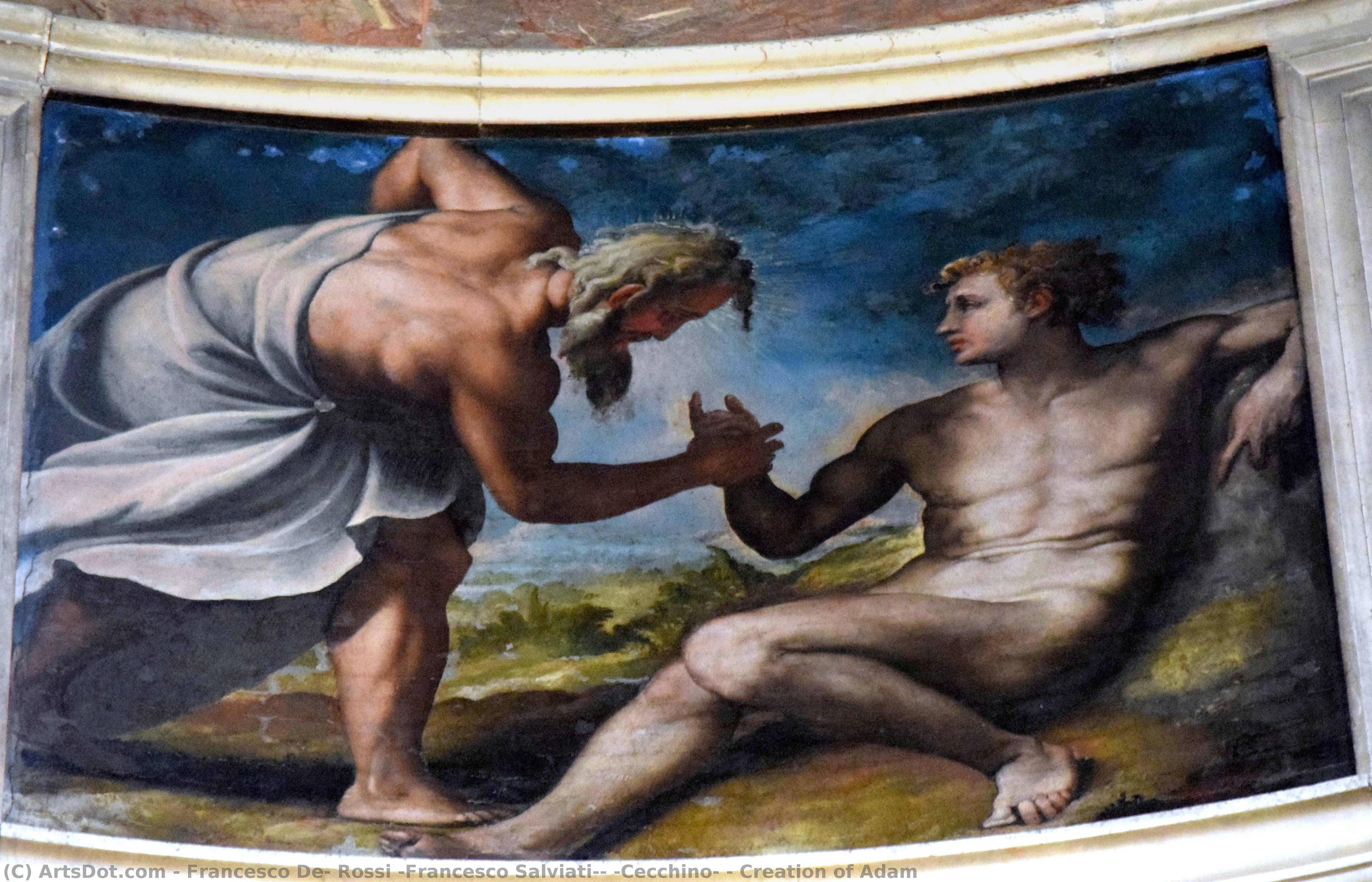 Creation Of Adam — Francesco De Rossi (francesco Salviati) (cecchino)