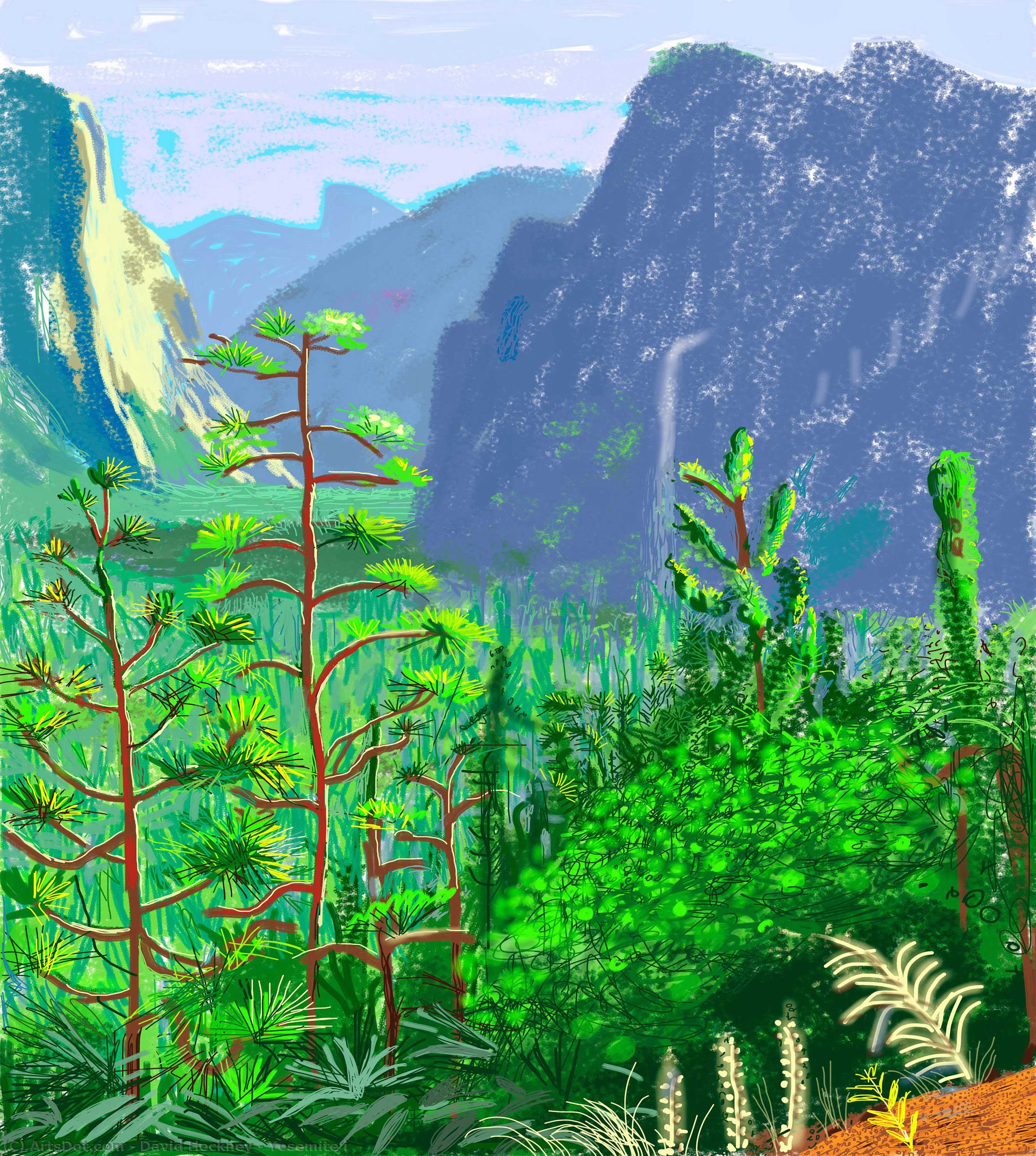 Yosemite I — Dejvid Hokni
