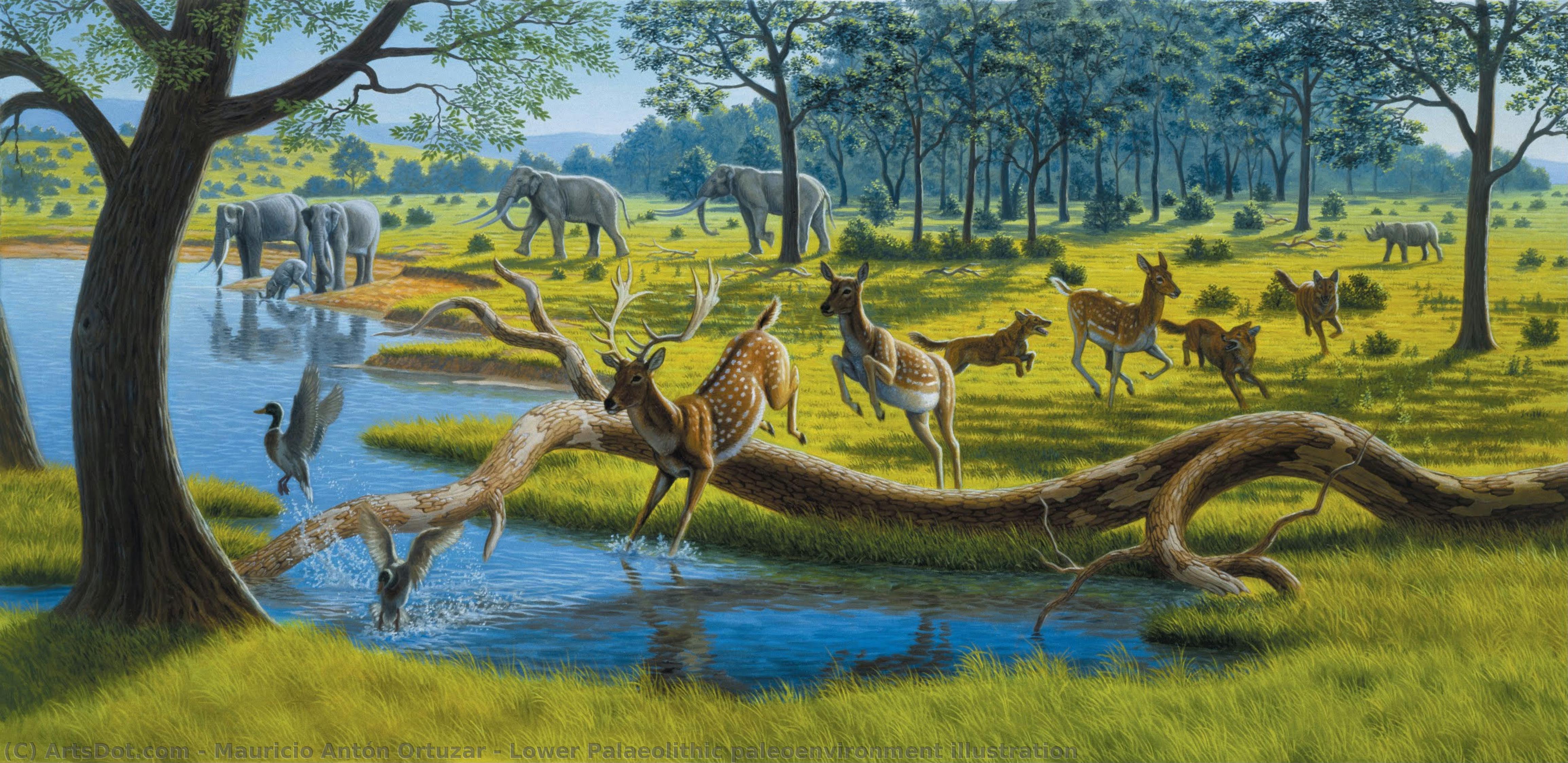Lower Palaeolithic Paleoenvironment Illustration — Mauricio Antón Ortúzar