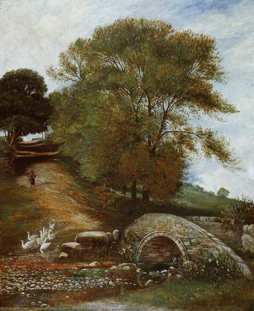 Maesincla Road, Near Caernarvon — Samuel Maurice Jones