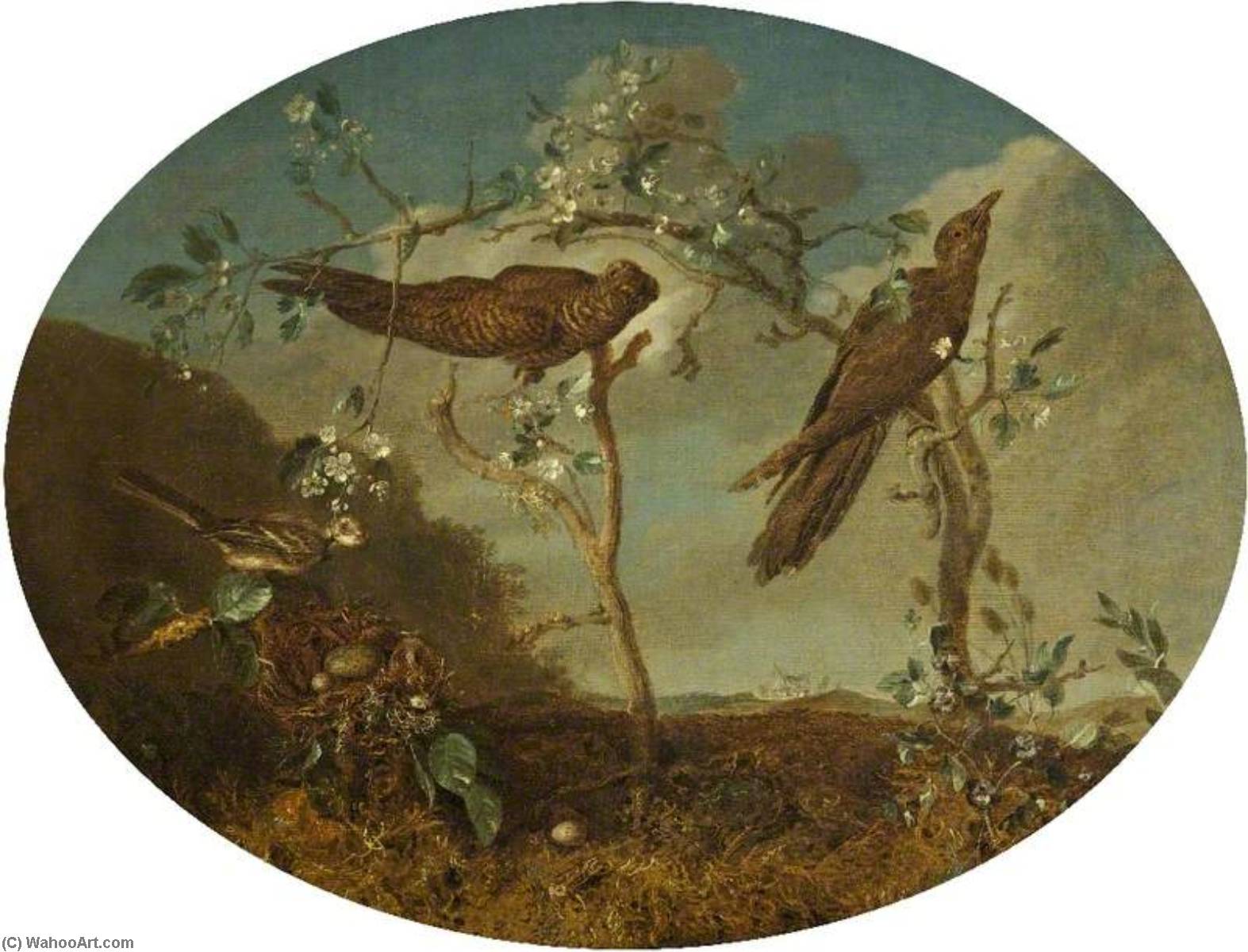 Cuckoos Displacing A Finch's Egg — William Tomkins