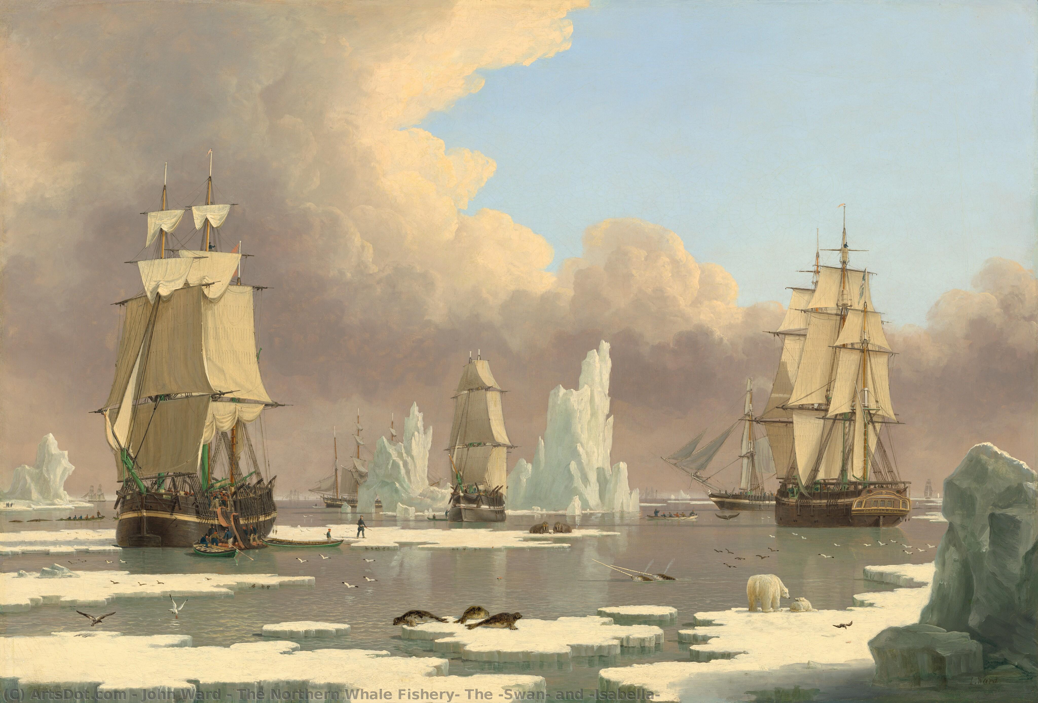 The Northern Whale Fishery: The 'swan' And 'isabella' — John Ward