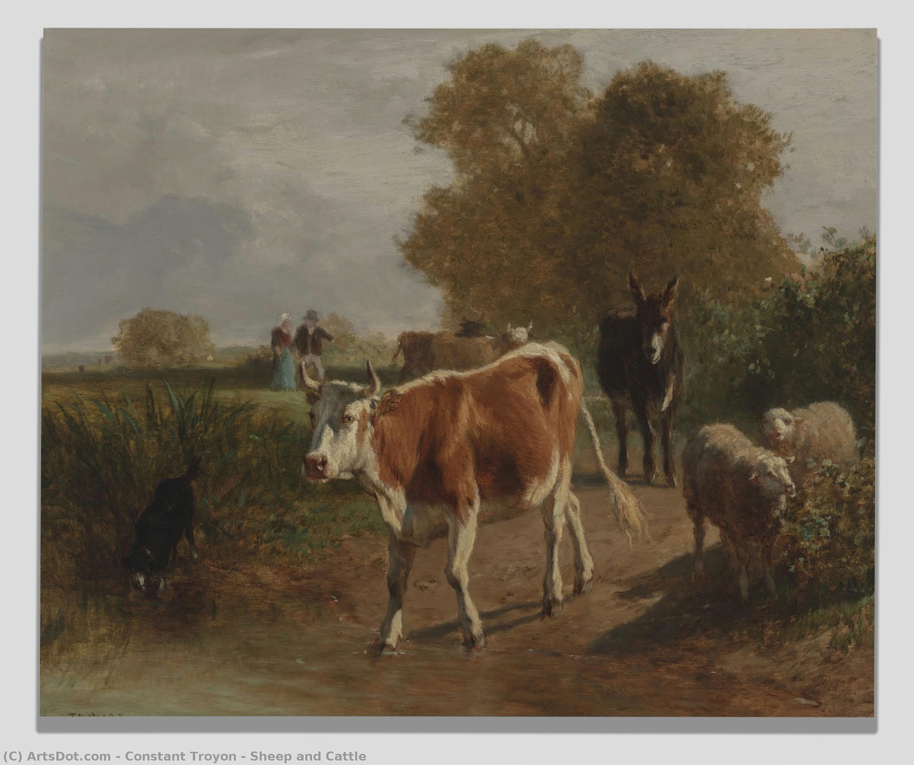 Sheep And Cattle — Константин Тройон