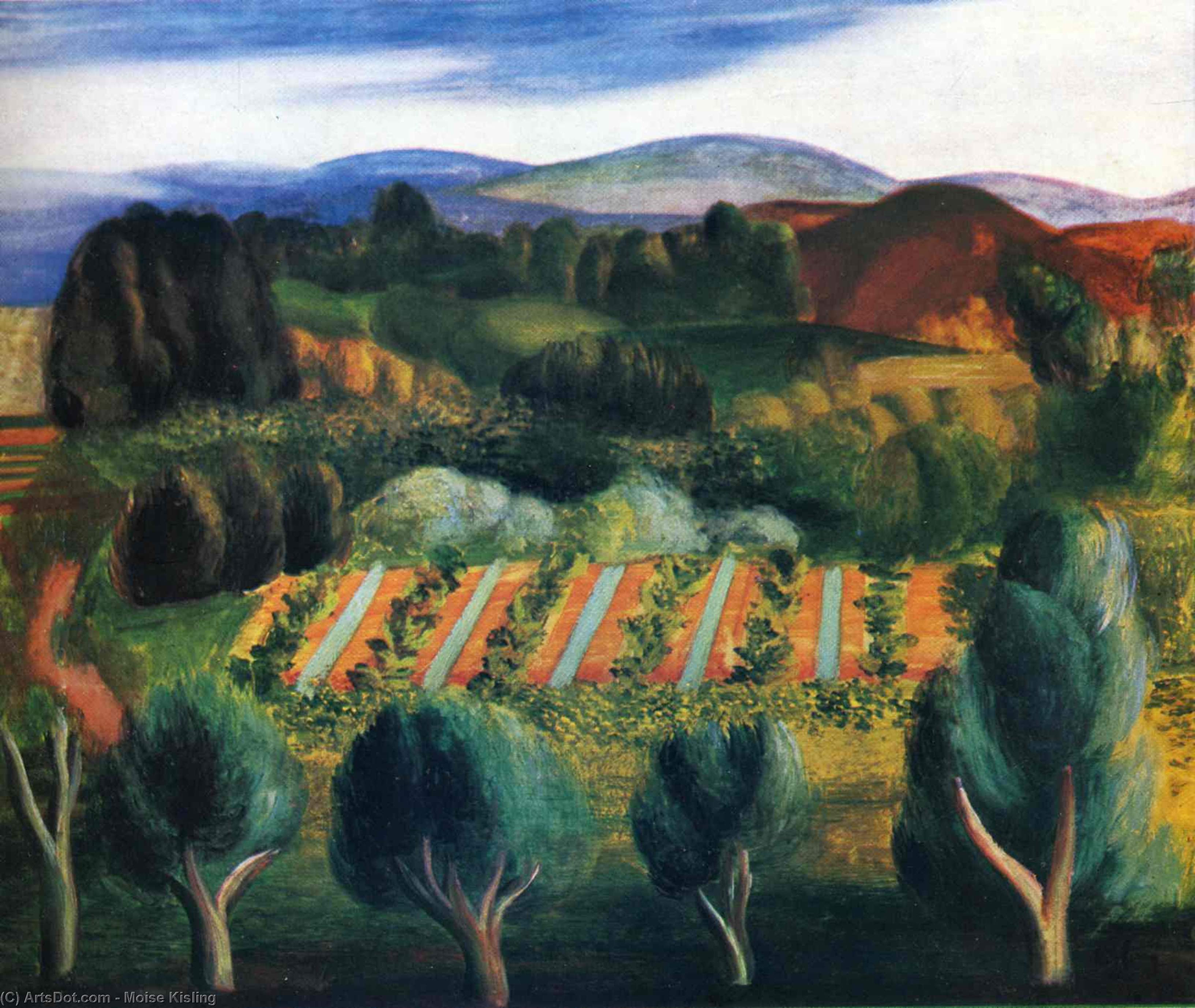 Provence Landscape — Муаиз Кислинг