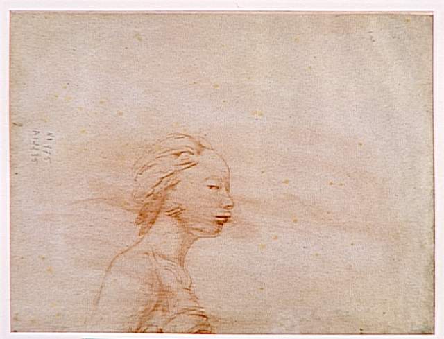 Female Bust In Profile To Right — Jean-auguste-dominique Ingres