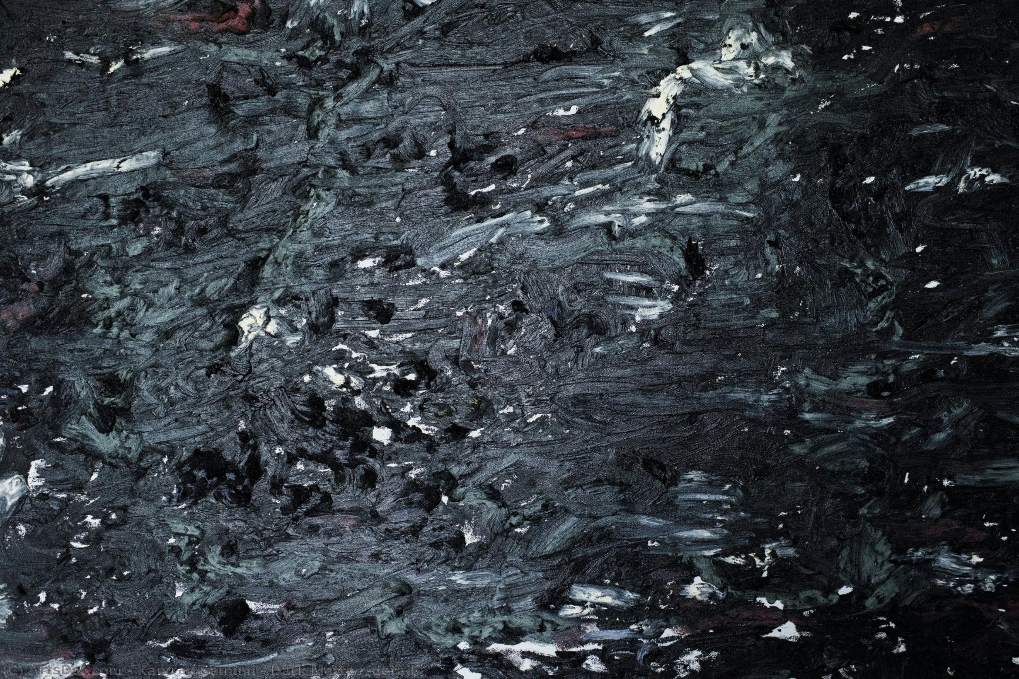 Dark Matter (detail) — Kamran Samimi