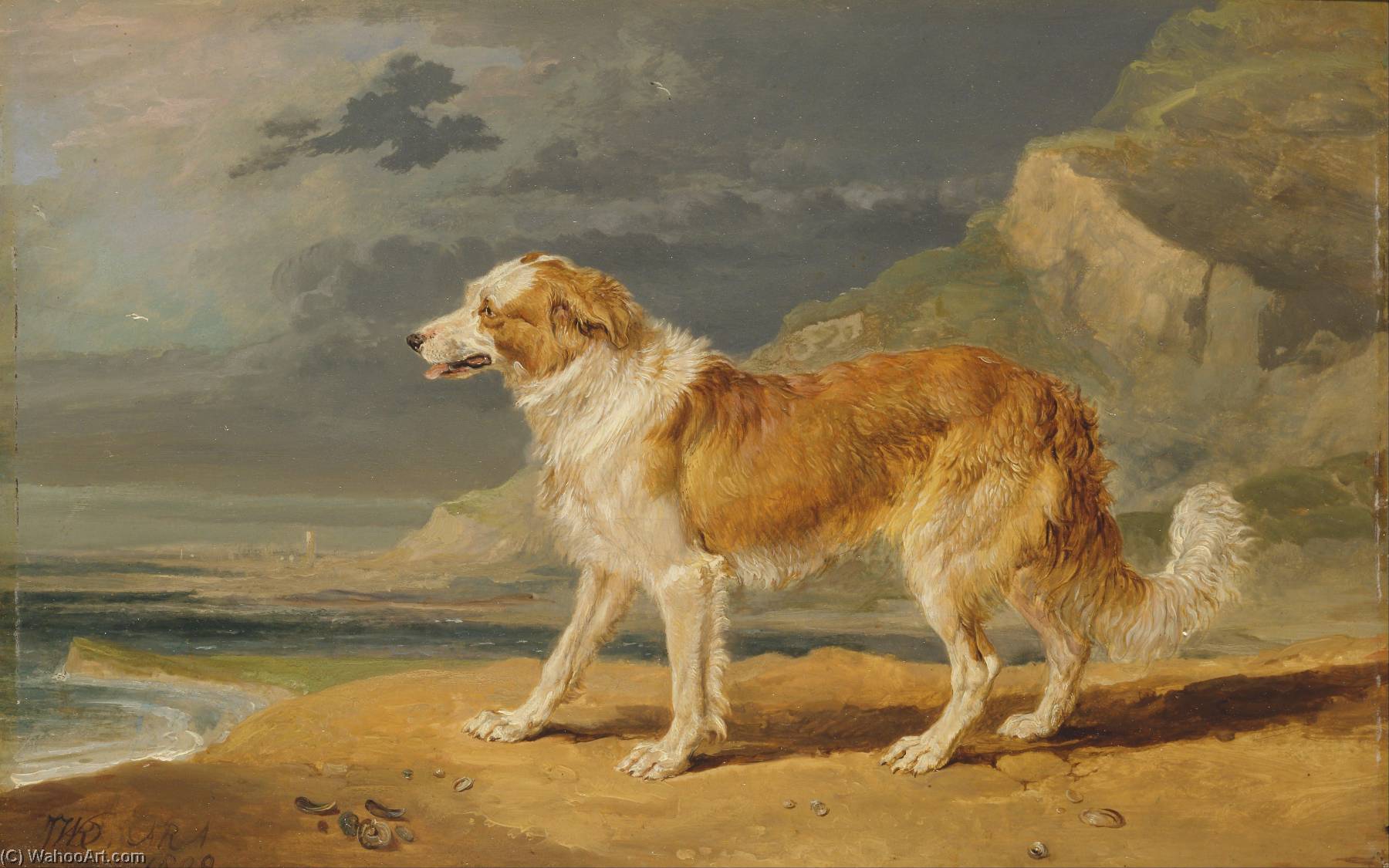 Rough Coated Collie — James Ward