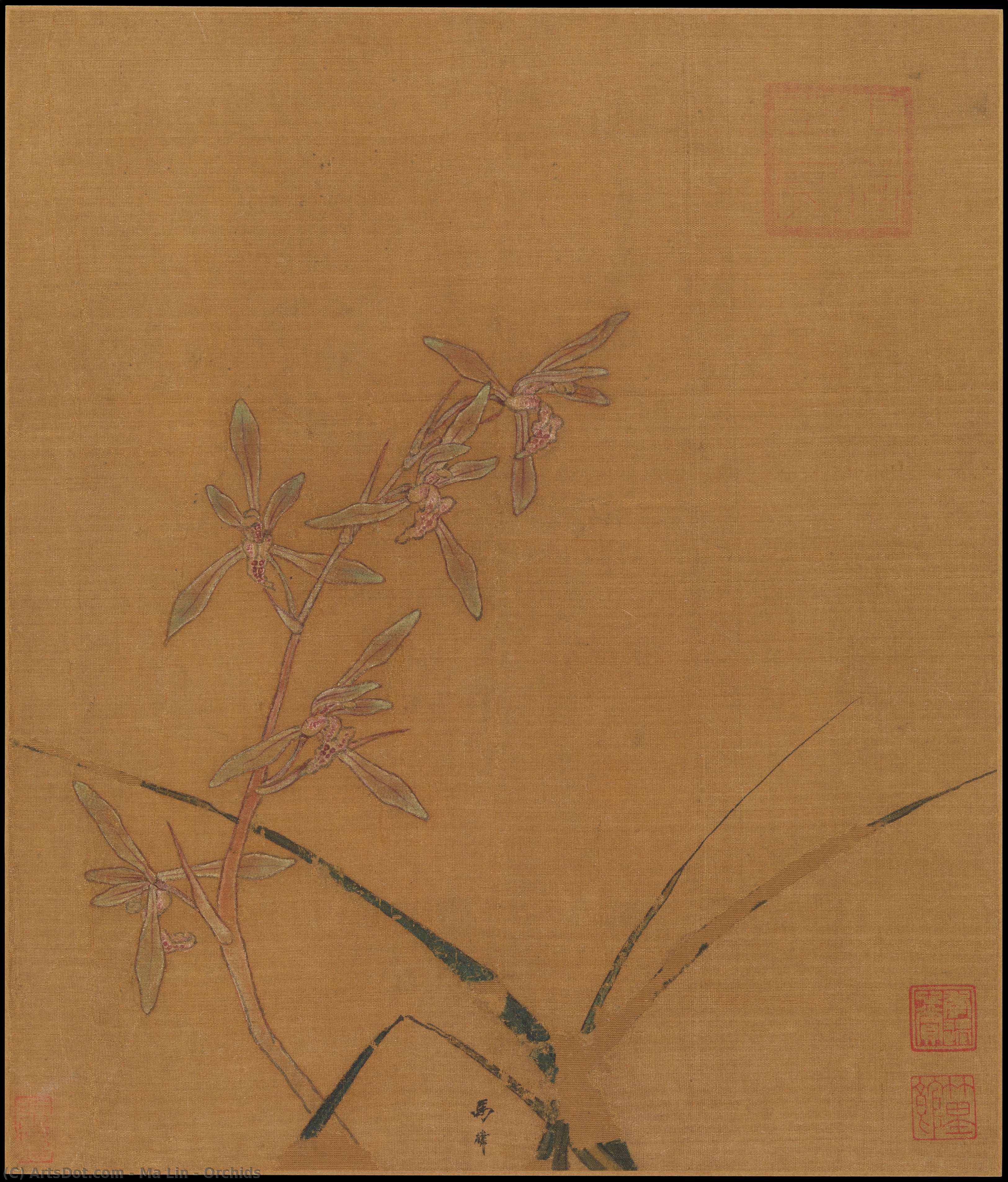 Untitled (d2x89s) — Ma Lin