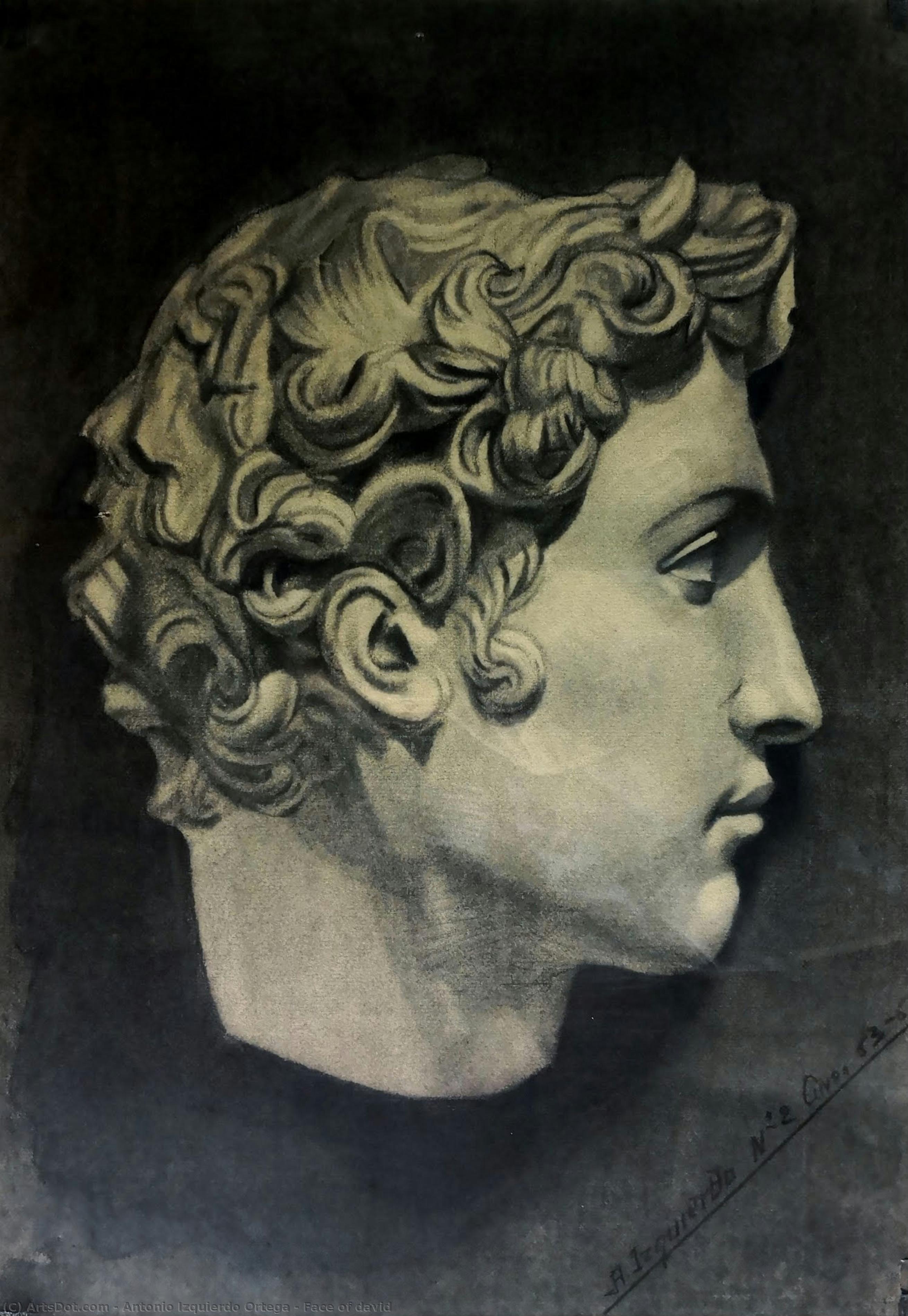 Face Of David — Antonio Izquierdo Ortega