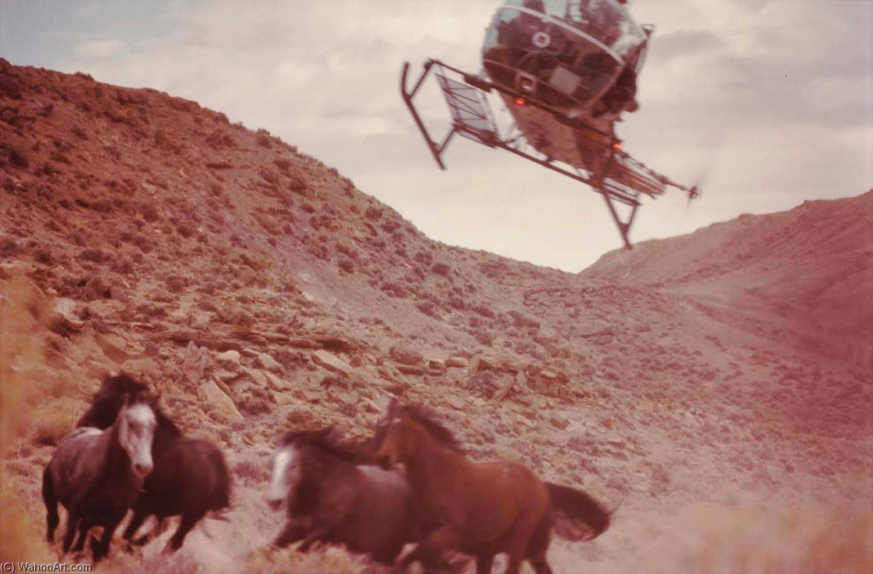 Hudson Resident, From The Wyoming Documentary Survey Project — Penny Diane Wolin