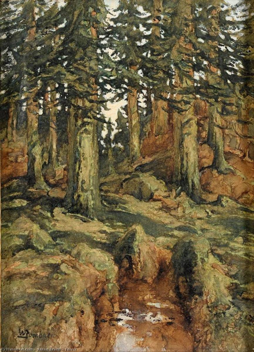Forest — Anton Braith
