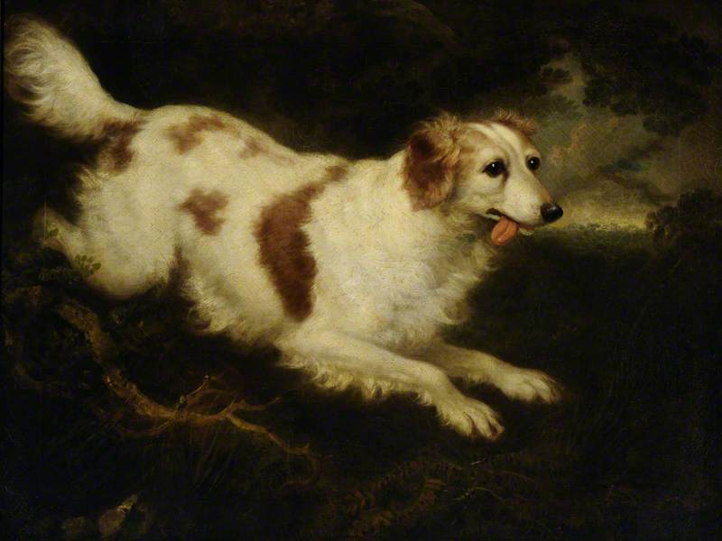 'dash', A Spaniel — Charles Henry Schwanfelder