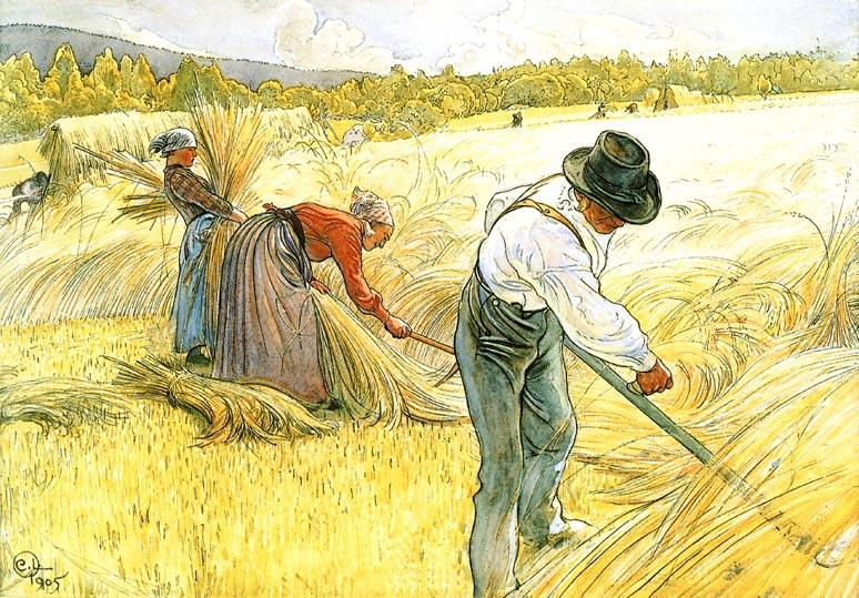 Harvesting The Rye — カール・ラッソン