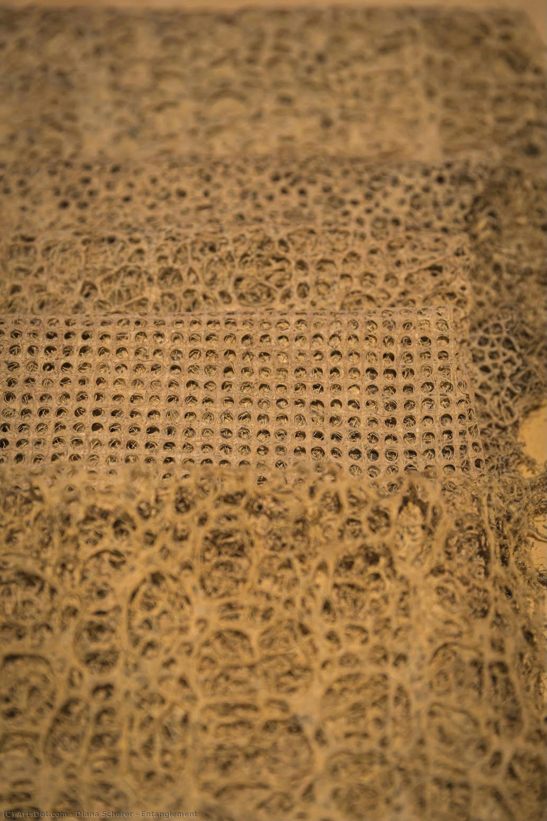 Entanglement — Diana Scherer