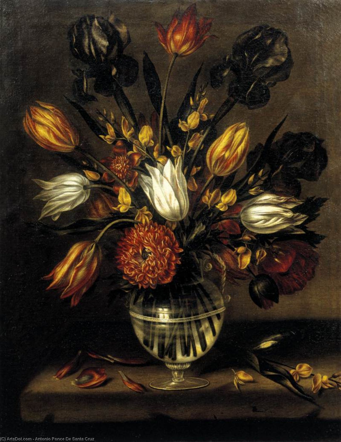 Vase Of Flowers — Antonio Ponce De Santa Cruz