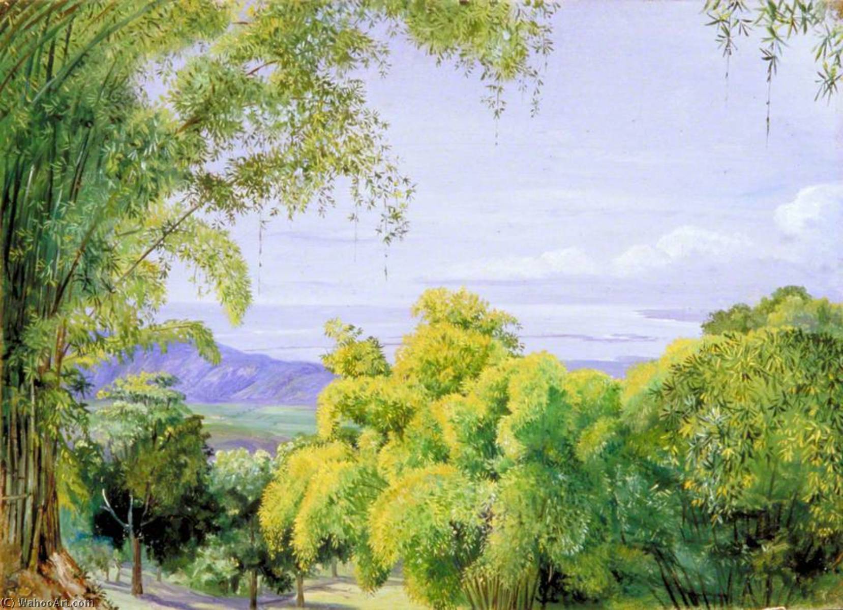 Blick Über Port Royal, Jamaika, Mit Bambus Im Vordergrund — Marianne North
