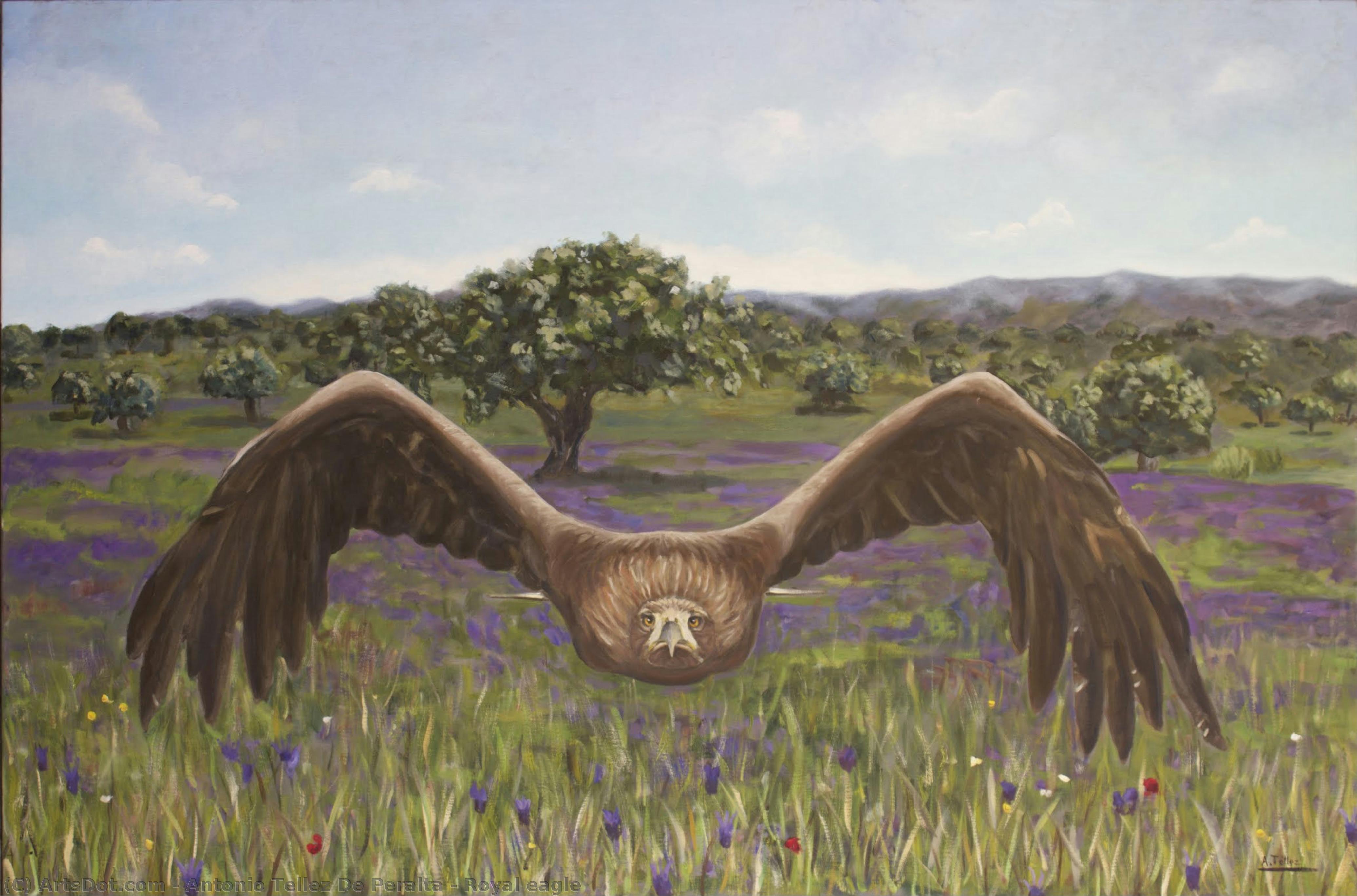 Royal Eagle — Antonio Tellez De Peralta