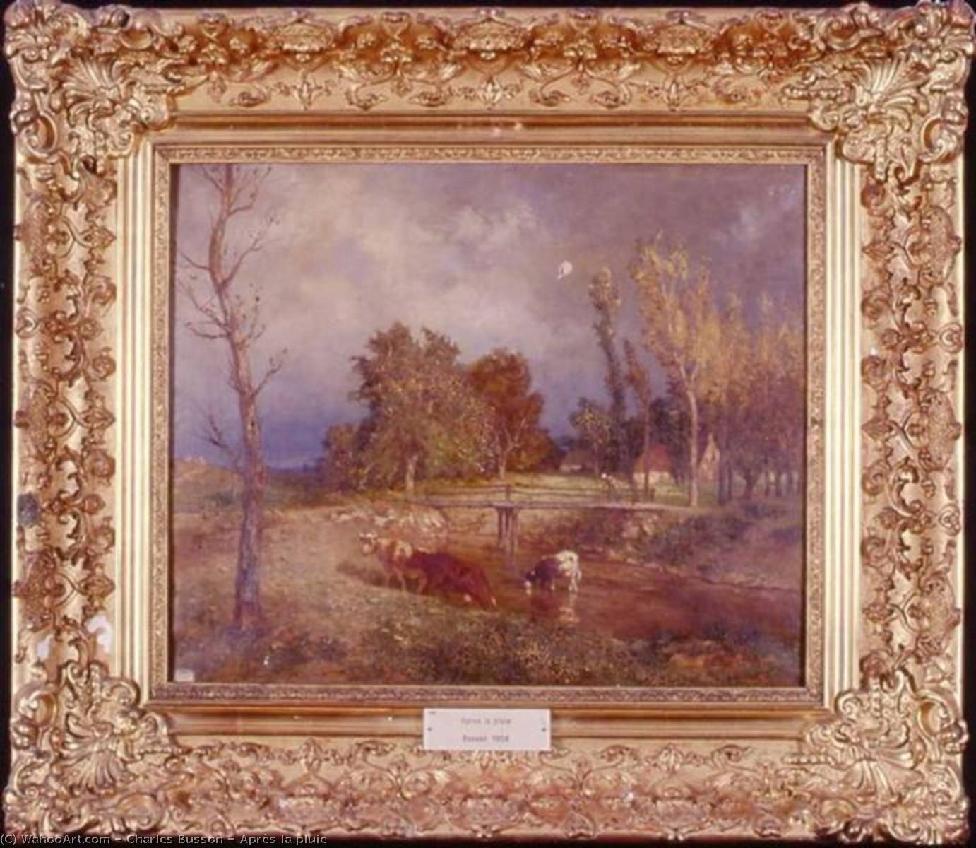 Après La Pluie — Charles Busson