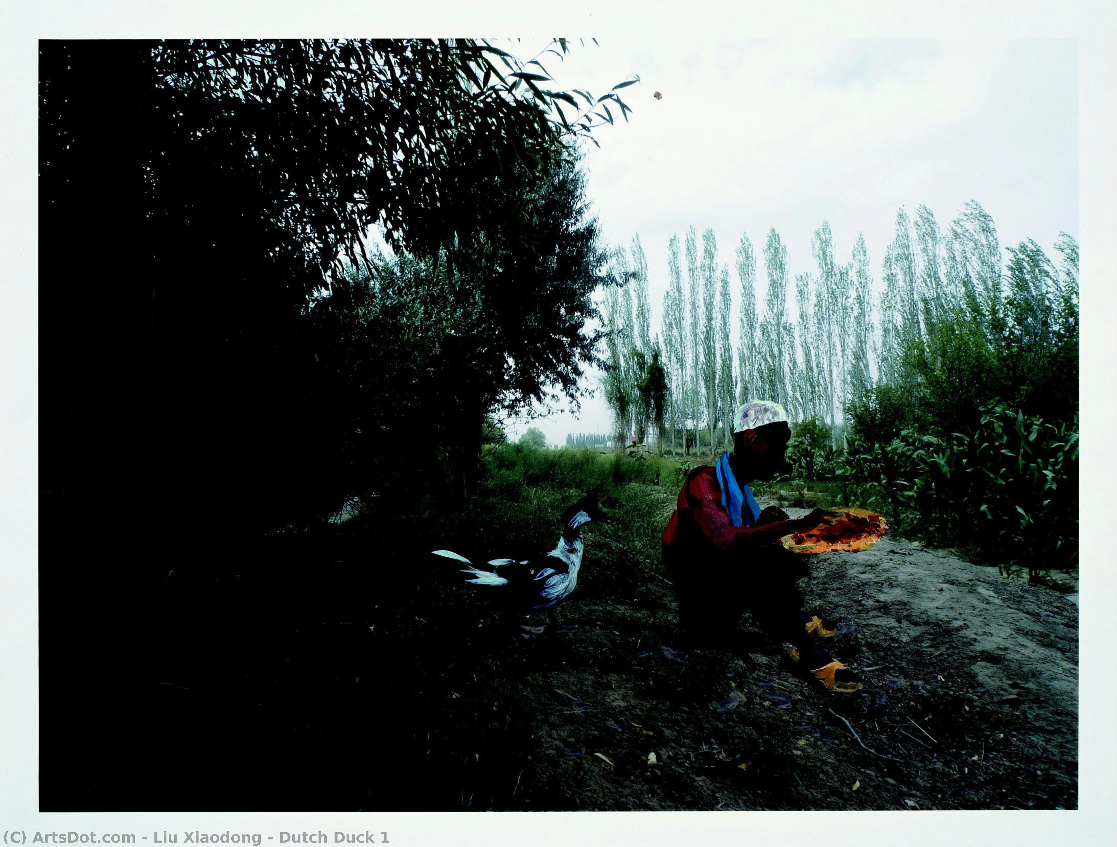 Dutch Duck 1 — Liu Xiaodong