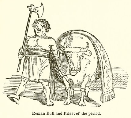Roman Bull And Priest Of The Period — John Leech