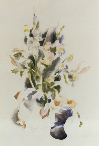 Floral Still Life — Charles Demuth