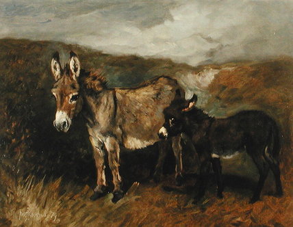 Donkeys Out On The Moor — John Emms