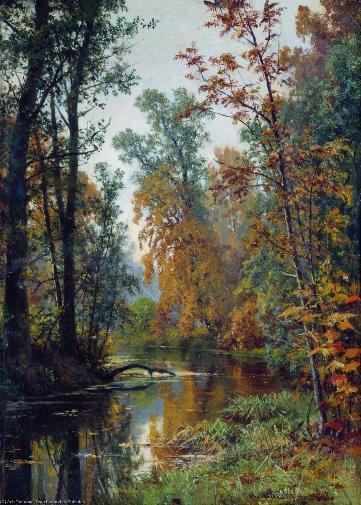 Autumn Landscape. Park In Pavlovsk — Ivan Ivanovich Shishkin