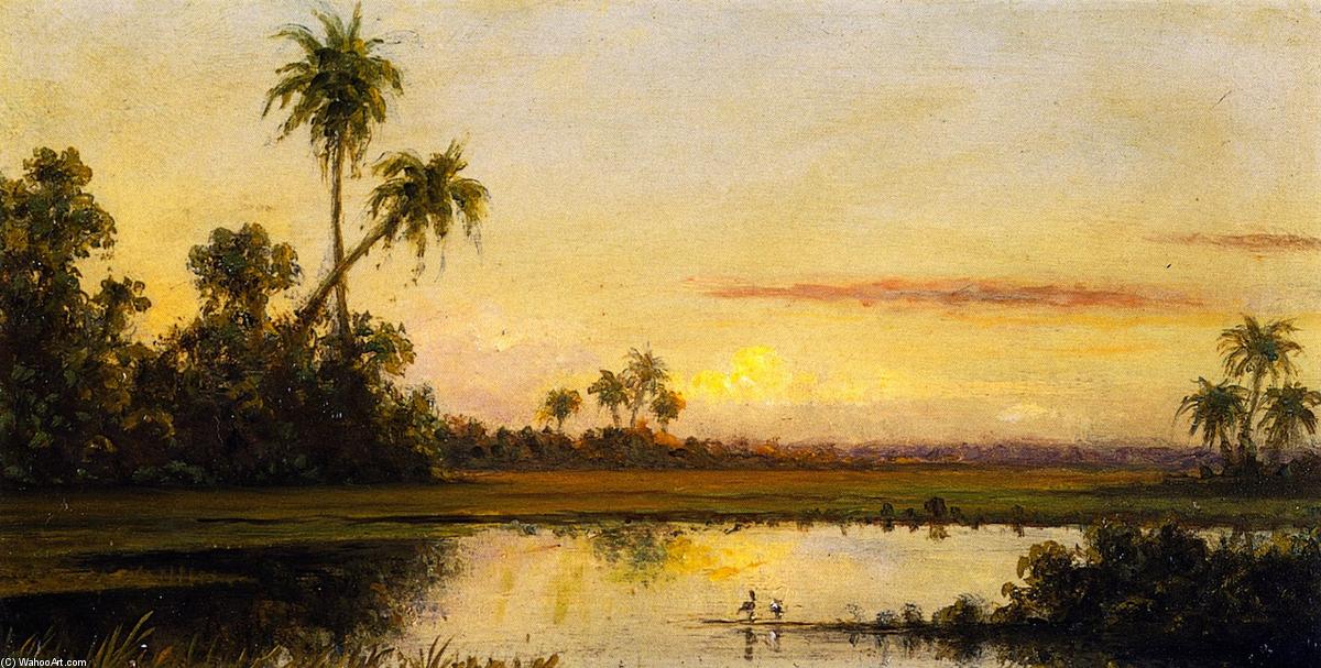 Florida River Scene — マーティン・ジョンソン・ヒーデ