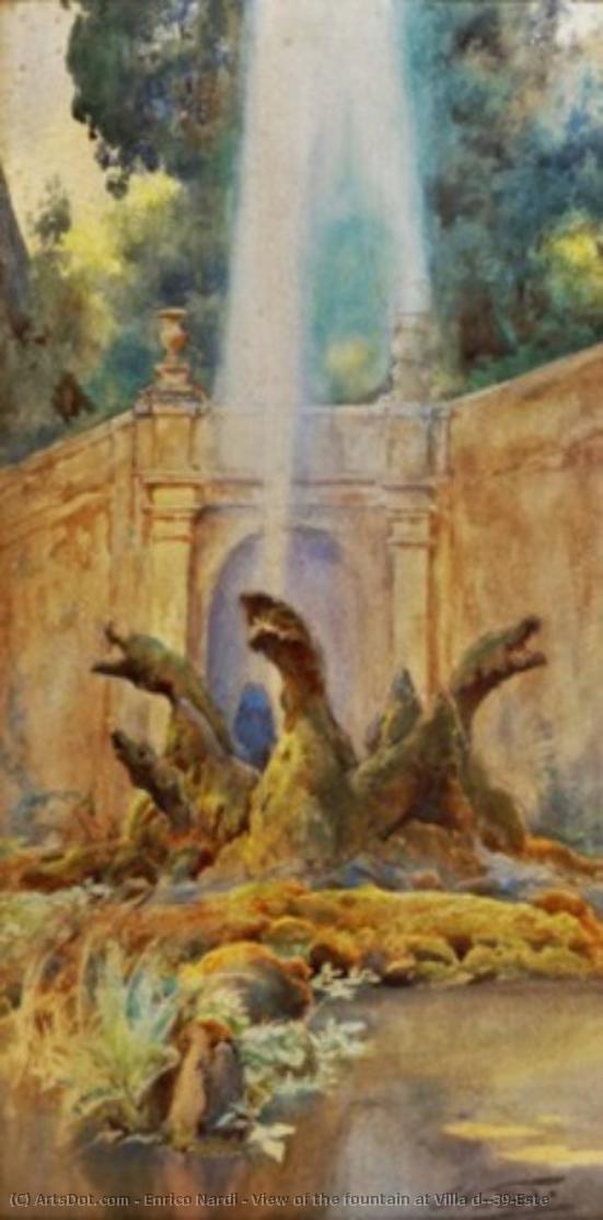 View Of The Fountain At Villa D'este — Enrico Nardi