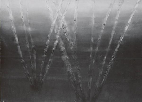 April — Loren Maciver
