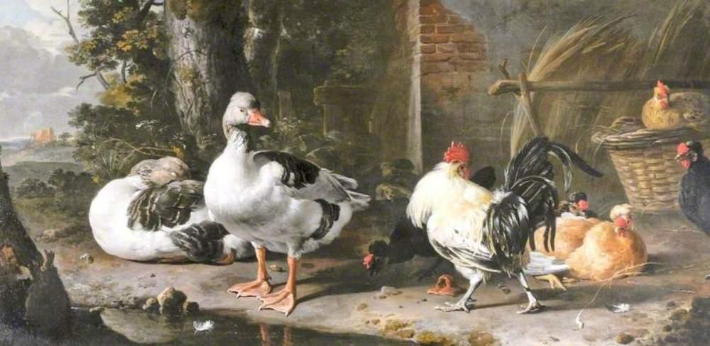 Fowl And Geese — Melchior De Hondecoetter