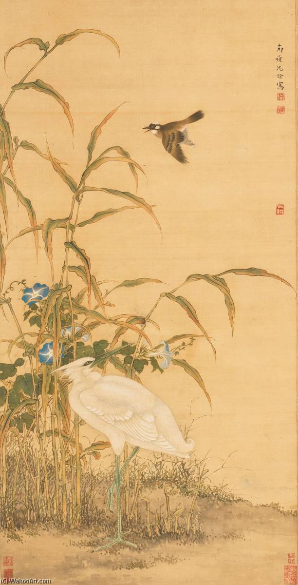 White Heron — Shen Quan