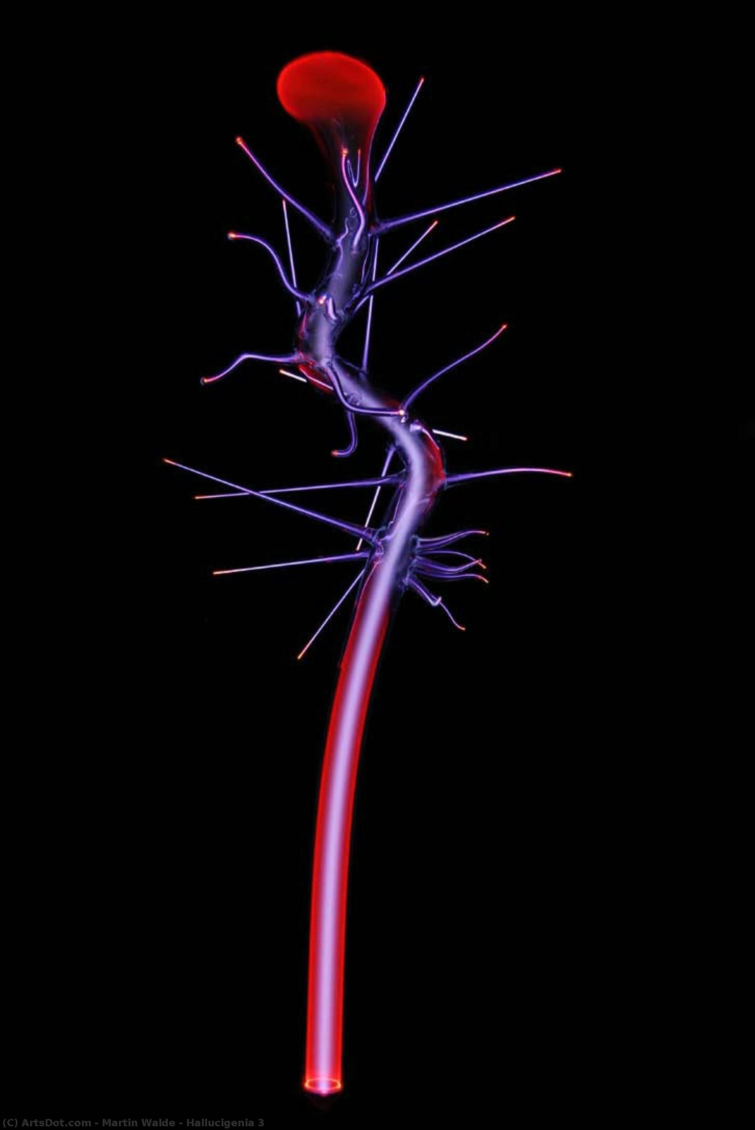 Hallucigenia 3 — Martin Walde
