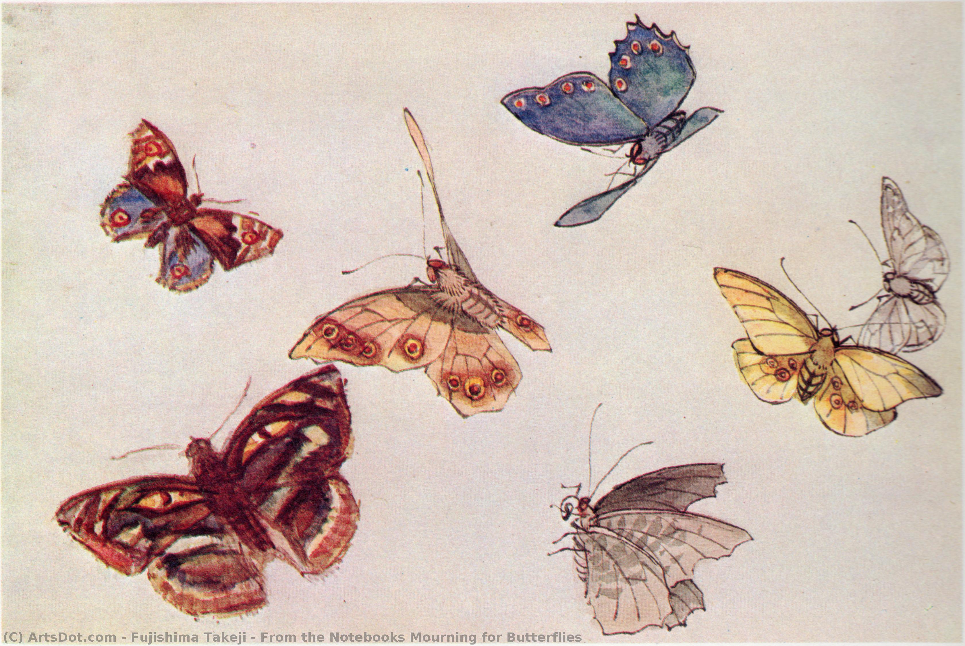 From The Notebooks Mourning For Butterflies — Fujishima Takeji