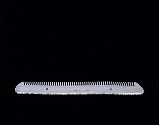 Comb — Марсел Дјушан