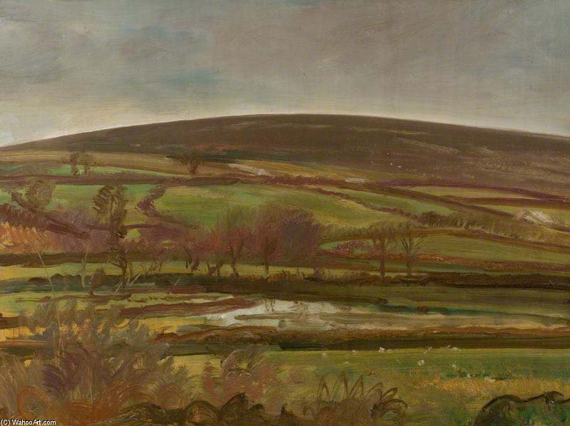 Landscape, Withypool, Exmoor, Winter — Алфред Џејмс Менингс