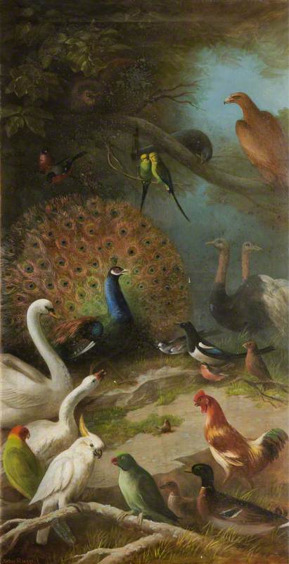 The Parliament Of Birds — John Bucknell Russell