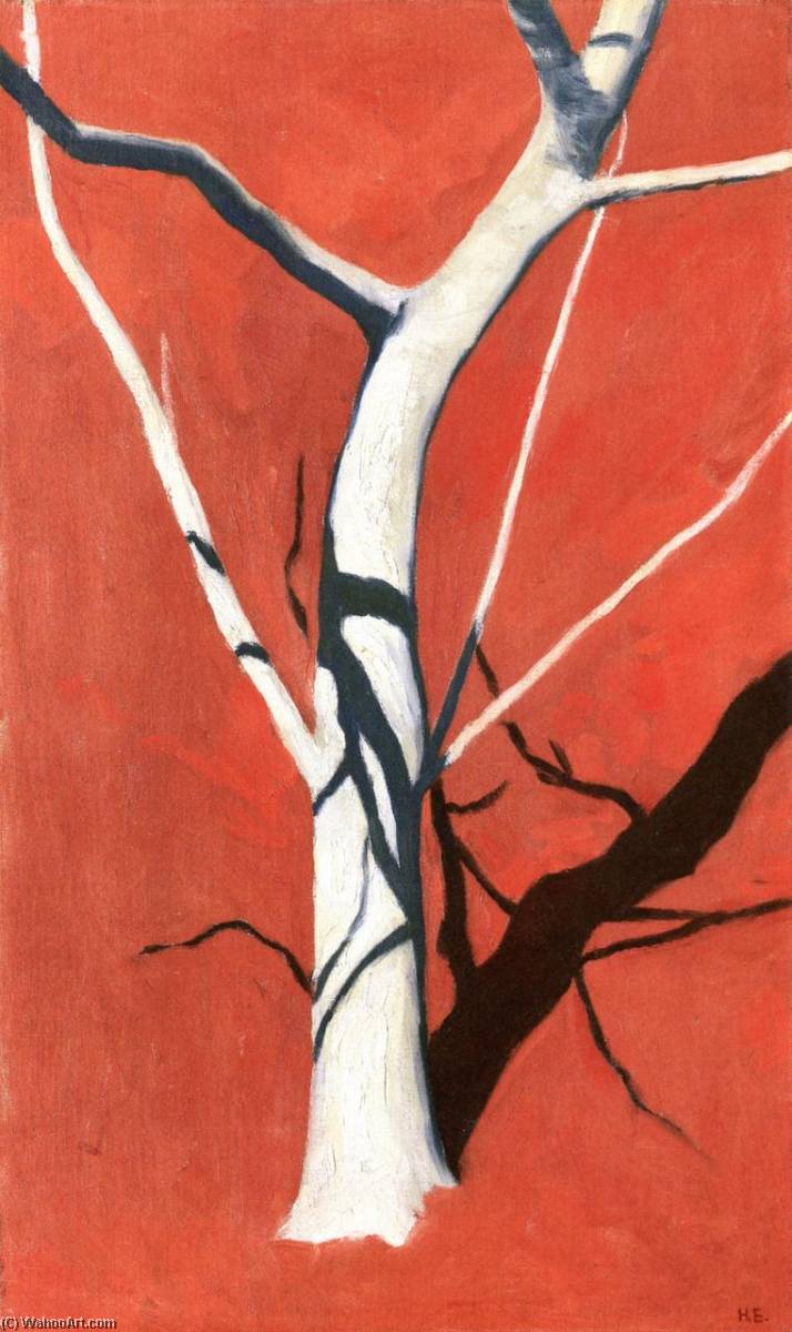 Fig Tree In Front Of Red Soil — Hans Emmenegger