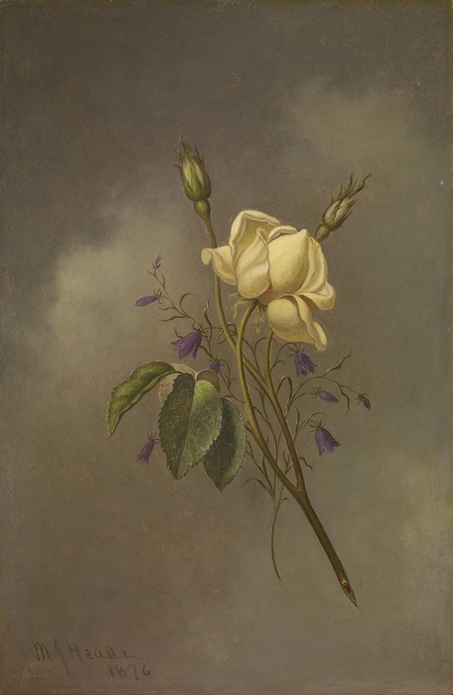 A Yellow Rose Against A Cloudy Sky — Мартин Джонсон Хед