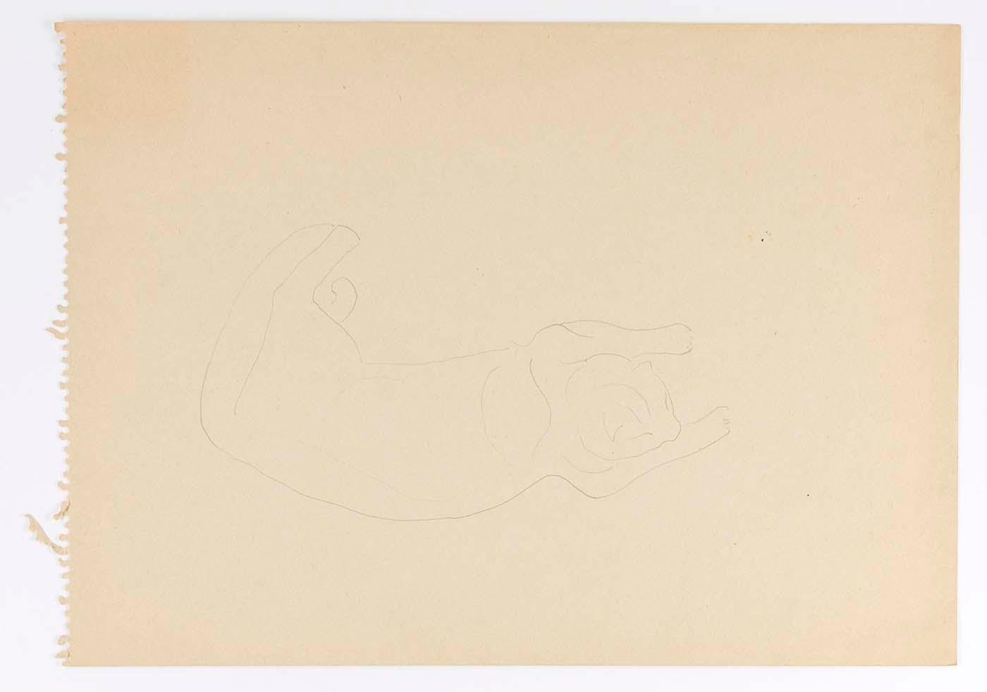 (sketch Of Reclining Cat) — Marguerite Zorach