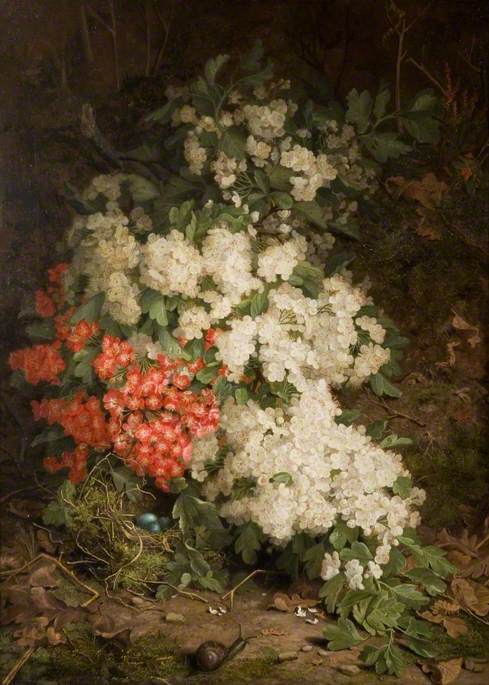 Fragrant Hawthorn — John Fitz Marshall