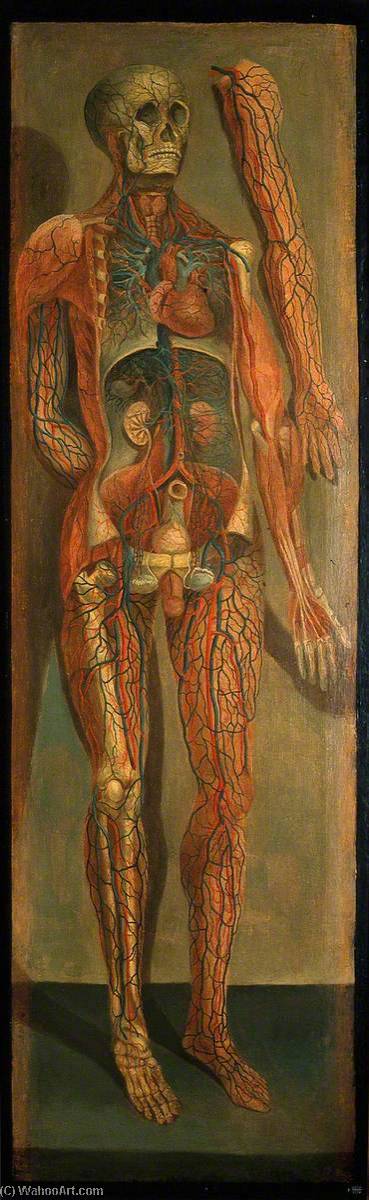A Standing Dissected Man Showing The Viscera And Blood Vessels, With A Separate Figure Of The Left Arm — Jacques Fabien Gautier Dagoty