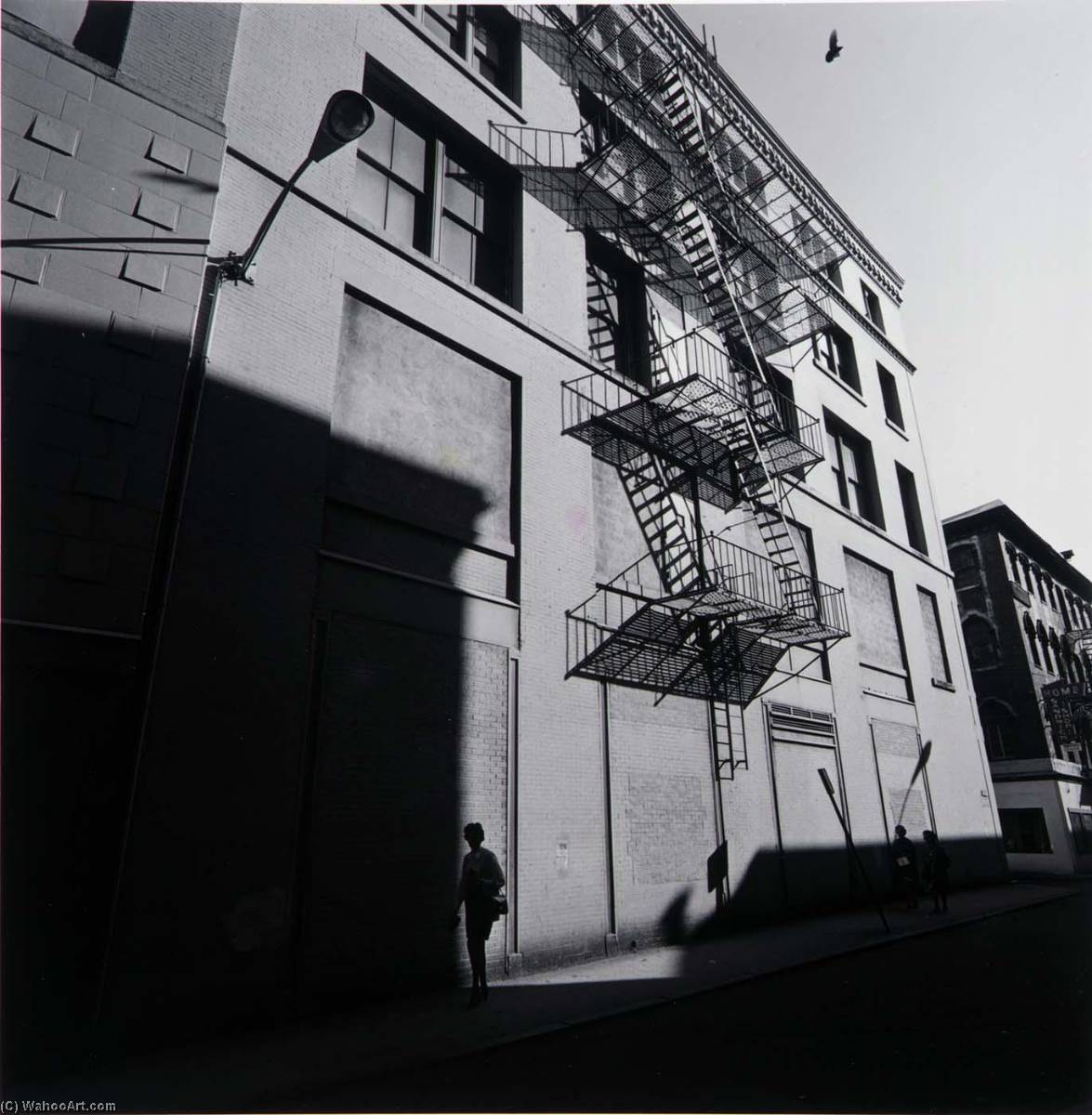 Providence, Rhode Island — Harry Callahan