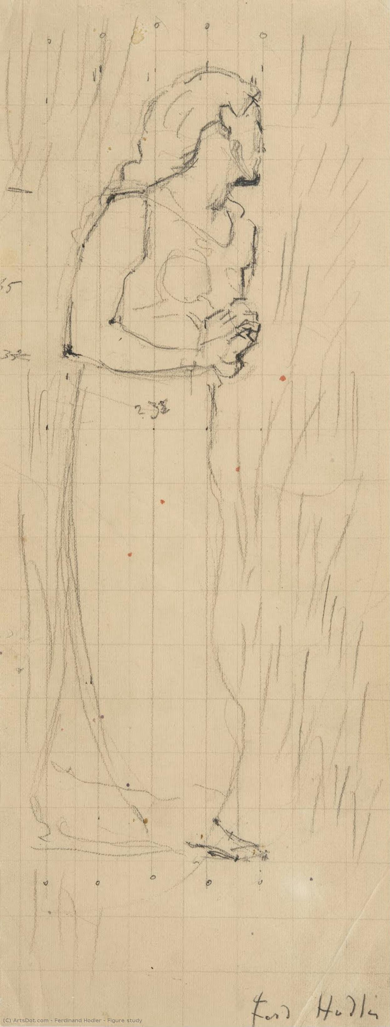 Bildstudie — Ferdinand Hodler