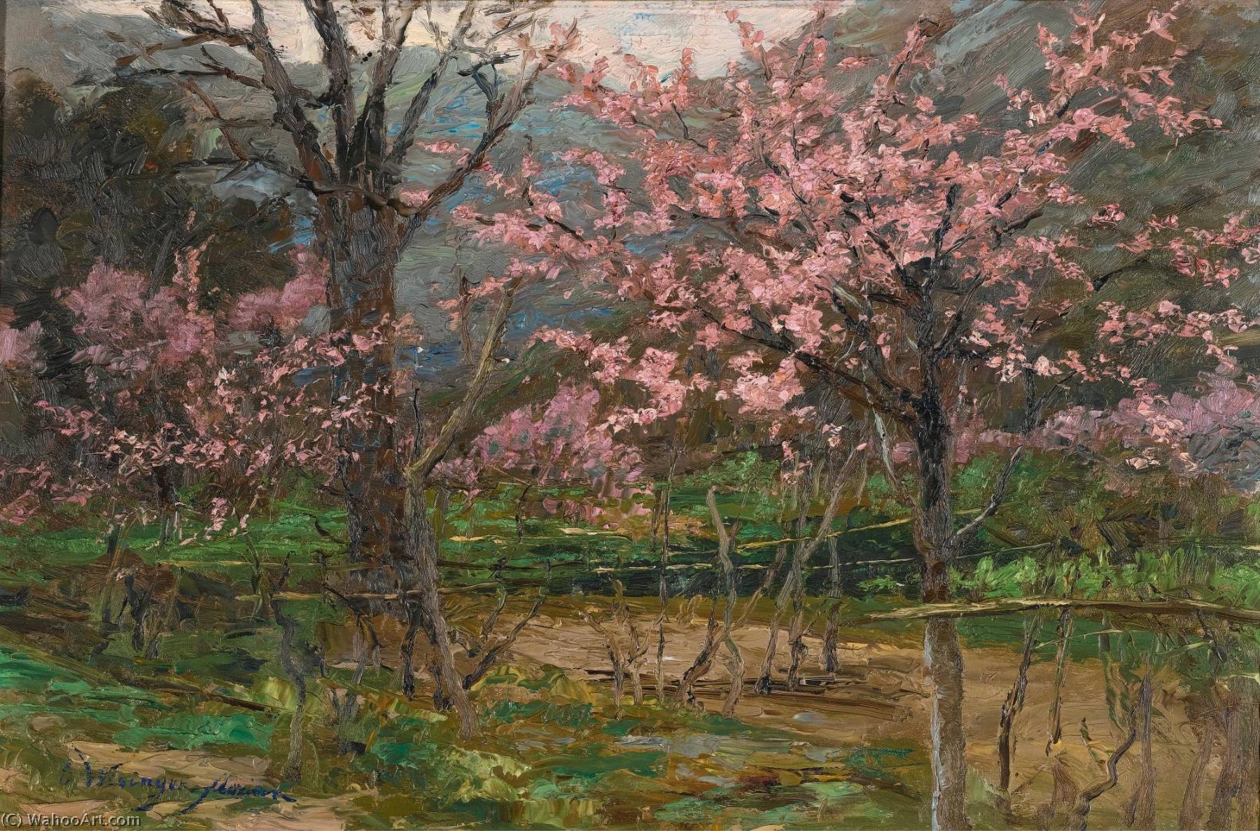 Spring Blossom — Olga Wisinger-florian