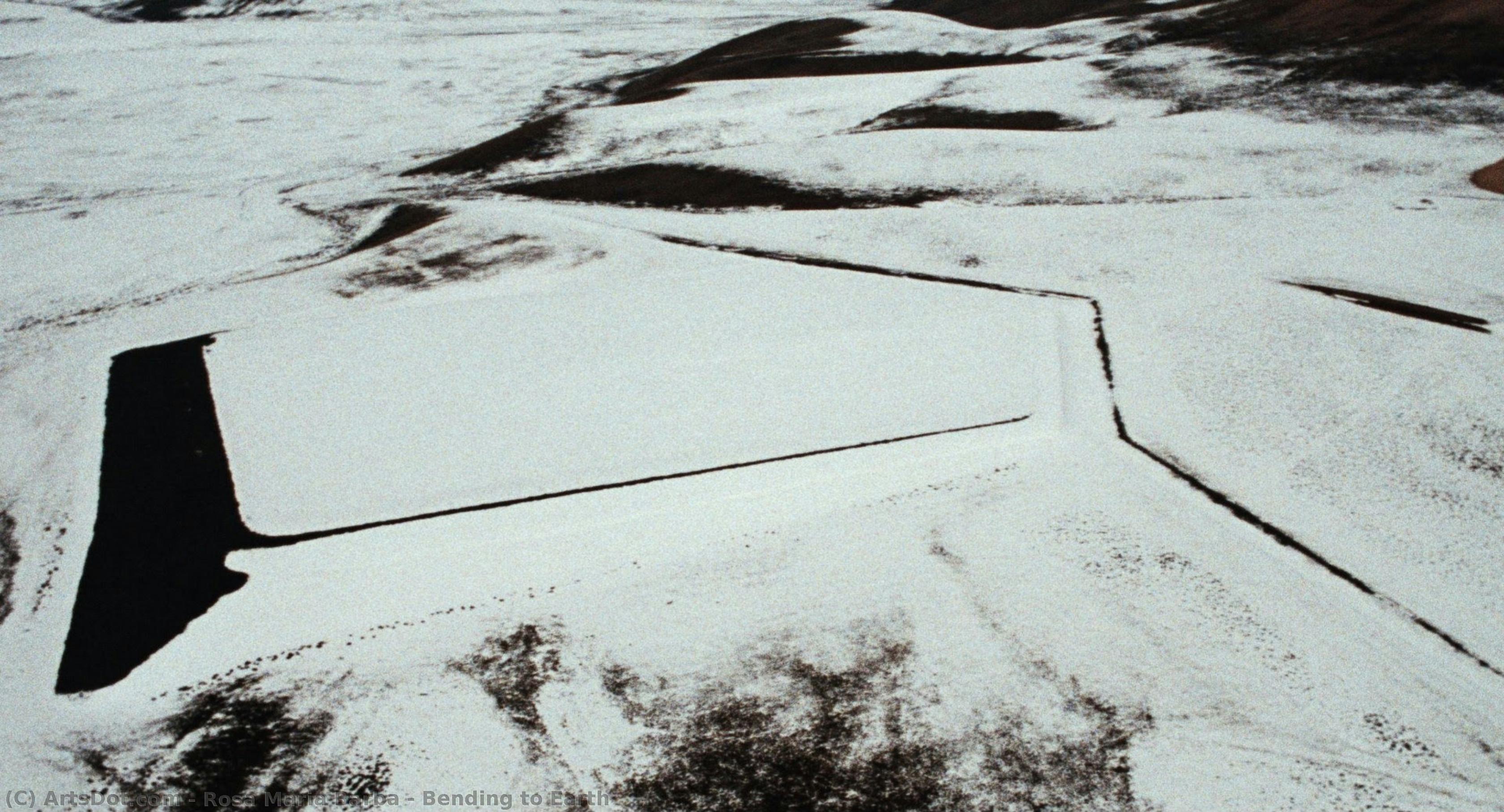 Bending To Earth — Rosa Maria Barba