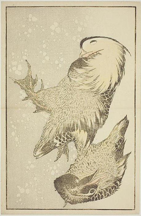 Two Waterfowl — Katsushika Hokusai